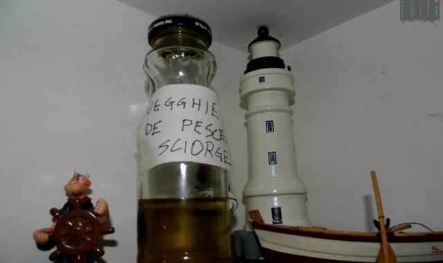 Taranto, il brutto "pesce sciorge": ma dal suo fegato si estrae un olio "miracoloso"